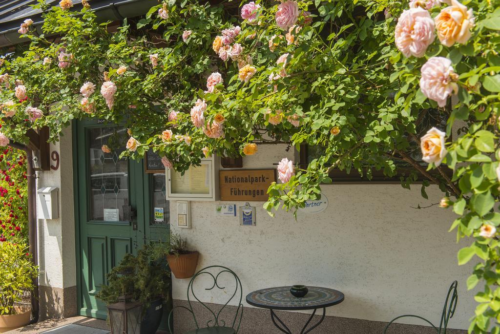 Kraeuterpension Saeumerpfad Mauth Extérieur photo