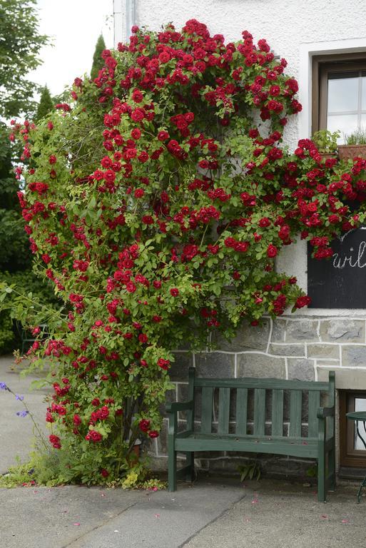 Kraeuterpension Saeumerpfad Mauth Extérieur photo